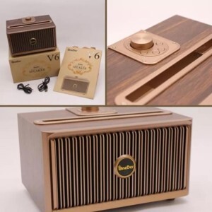 Loa bluetooth OneDer V6