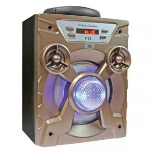 Loa Bluetooth P55