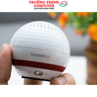 Loa Bluetooth R100