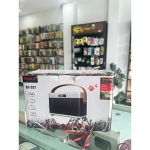 Loa Bluetooth SD-207