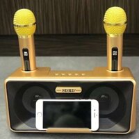 Loa bluetooth SDRD-301 SD301- Tặng kèm 2 mic không dây