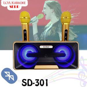 Loa bluetooth SDRD-301