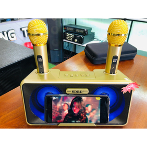 Loa bluetooth SDRD-301