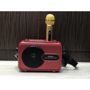 Loa bluetooth SDRD SD502