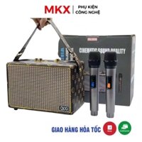Loa Bluetooth SK-2036 , Có Sẵn 2 Micro Không Dây , Hát Karaoke Nghe Nhạc Bass Cực Đỉnh - Chuẩn qixi [ BH 12 Tháng ]