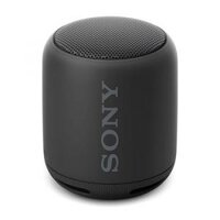 Loa bluetooth Sony SRS-XB10