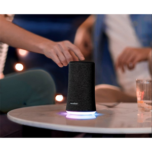 Loa Bluetooth Anker SoundCore Flare A3161