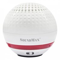 Loa Bluetooth SoundMax R100