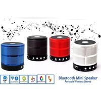 Loa bluetooth Speaker WS-887