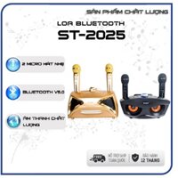 Loa Bluetooth ST-2025, LOA SDRD 306, SDRD 315, loa SDRD 306 Plus,Loa SDRD 301 + tặng kèm 2 micro, âm thanh chất lượng