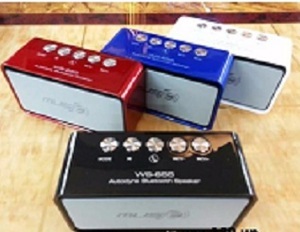 Loa bluetooth WS655