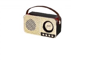 Loa bluetooth WSTER WS-3138