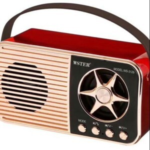 Loa bluetooth WSTER WS-3138