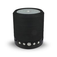 Loa bluetooth Wster Ws-631 - đen - Hàng Chính Hãng