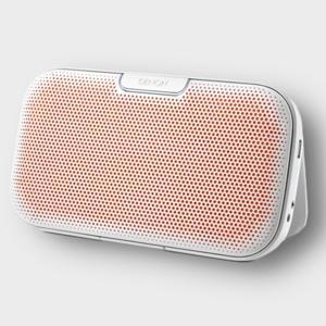 Loa bluetooth xách tay DENON DSB 200