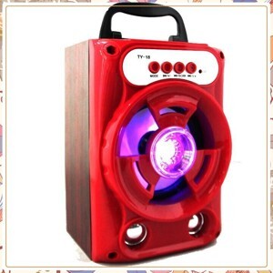 Loa Bluetooth xách tay TX-018