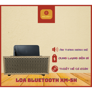 Loa bluetooth XM-5H