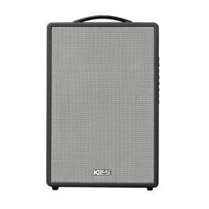 Loa BMB CS-251-V