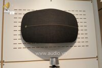 LOA B&O Beoplay M5