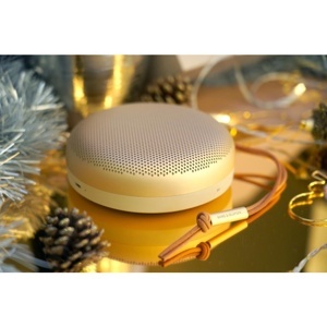 Loa B&O Beosound A1 Gen 2