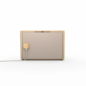 Loa B&O BeoSound Level Gold