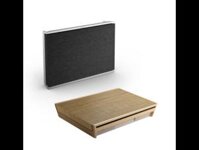 Loa B&O Beosound Level