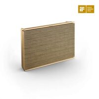 Loa B&O BeoSound Level