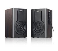 Loa bookshelf Earson ER-1008C 2.0