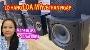 Loa Bose 301 (Series V) - Hàng USA
