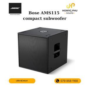 Loa Bose AMS115