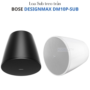 Loa Bose Designmax DM10P-SUB