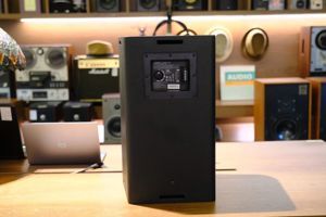 Loa Bose DesignMax-DM10S Sub