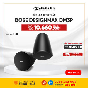 Loa Bose Designmax DM3P