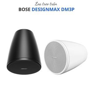 Loa Bose Designmax DM3P