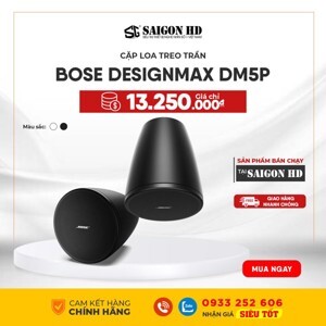 Loa Bose Designmax DM5P