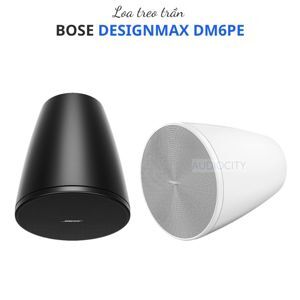 Loa Bose Designmax DM6PE