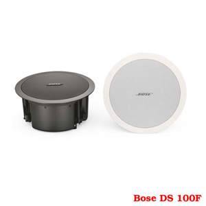 Loa Bose FreeSpace DS-100F