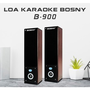 Loa Bosny B-900