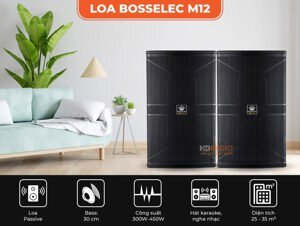 Loa BossElec M12