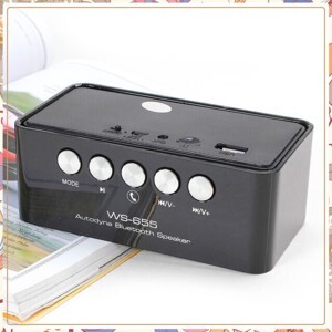 Loa Buethooth WS655 (WS-655)