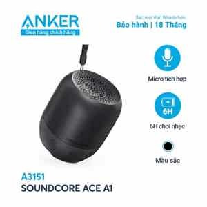 Loa buetooth Soundcore Ace A1 A3151