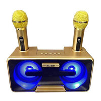 Loa cầm tay karaoke mini SDRD SD-301