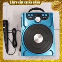 Loa cầm tay Profit P-89 CNS