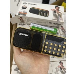 Loa cắm thẻ Craven CR-865