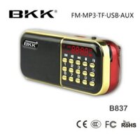Loa Cắm Thẻ, USB BKK837