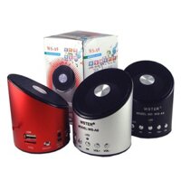 Loa cắm thẻ WS A9