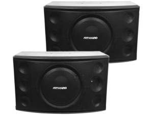 Loa cao cấp Artsound Pro-30W1