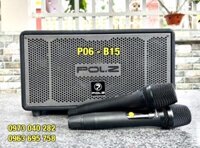 Loa cao cấp POL.Z P 06 loa bass 15 hàng chính hãng bảo hành 12 tháng