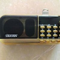 Loa Caraven 836s