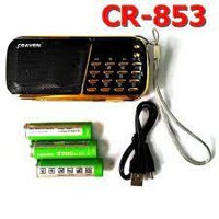 Loa Caraven 853 chép kinh địa tạng